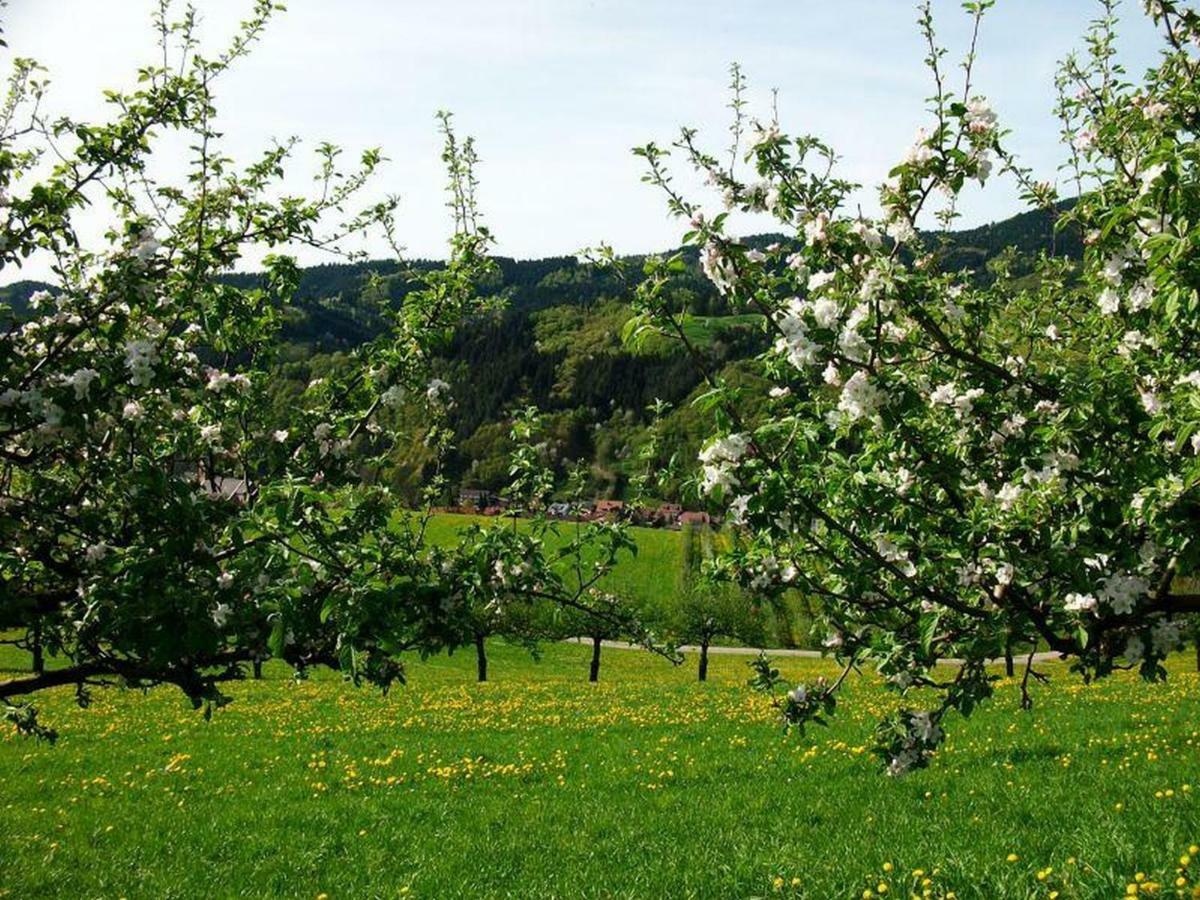 Pension Waldfrieden Oberharmersbach Eksteriør billede